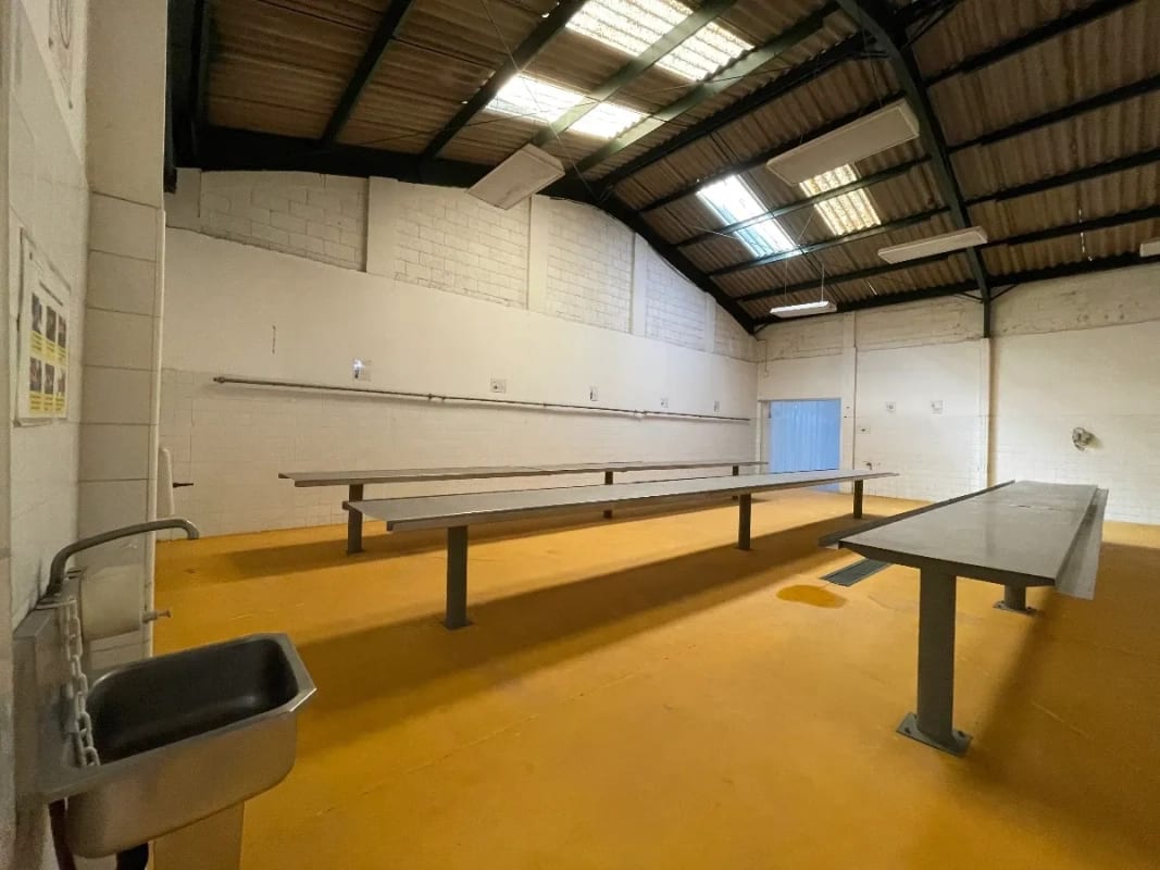 Bodega en alquiler | Villa Nueva | ¡Amplio espacio industrial con cuartos fríos y oficinas! — Bodega / Ofibodega en Alquiler en Villa Nueva, Guatemala, Ciudad — foto 11 de 11
