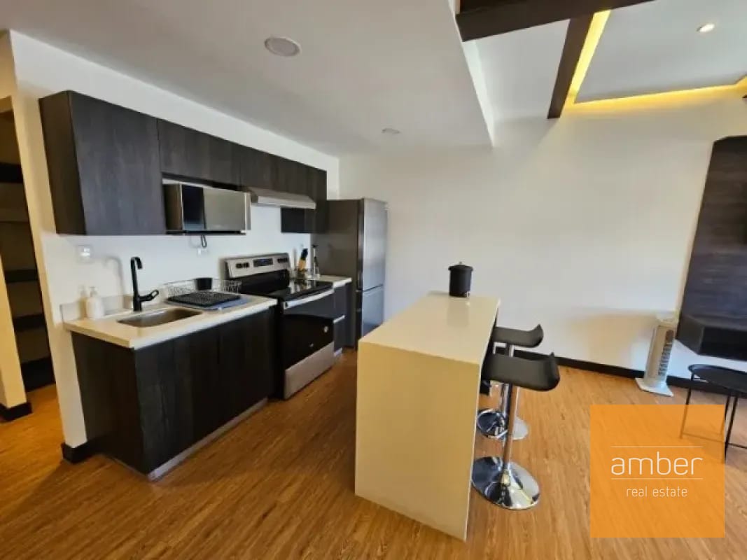 Apartamentos Amueblados Edificio Canamco, Zona 10 — Apartamento en Venta en Zona 10, Guatemala, Ciudad — foto 7 de 10