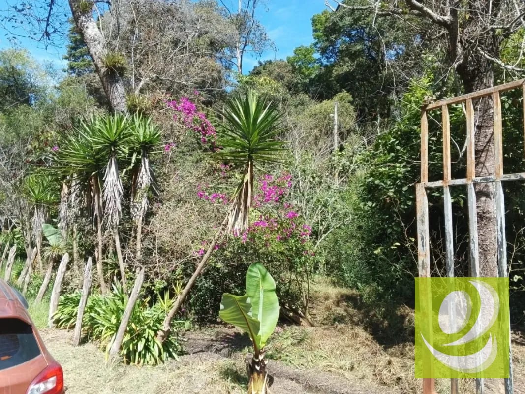 Vendo Finca en San Pedro Sacatepequez — Finca en Venta en San Pedro Sacatepéquez, Sacatepéquez — foto 2 de 3