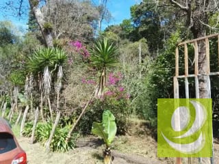 Vendo Finca en San Pedro Sacatepequez — Finca en Venta en San Pedro Sacatepéquez, Sacatepéquez — miniatura 2 de 3