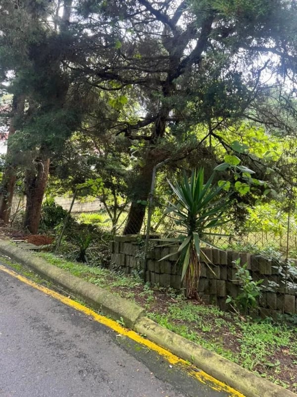 Vendo Terreno en Carretera a el Salvador — Terreno en Venta en Fraijanes, Carretera a El Salvador, Guatemala, Ciudad — foto 4 de 9