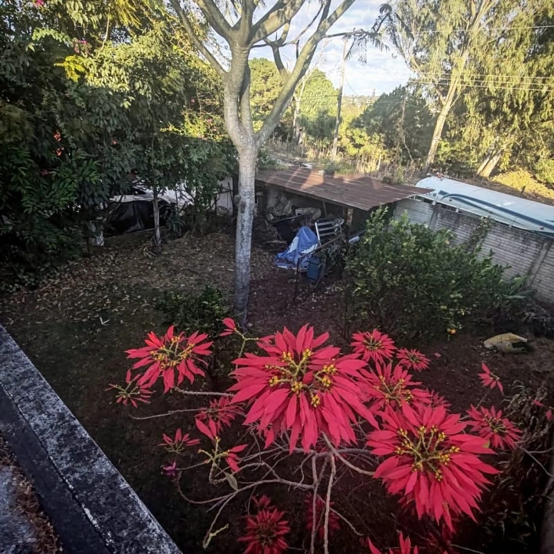 Casa en VENTA San Cristóbal, Residenciales los Eucaliptos — Casa en Venta en Zona 8 Mixco, Guatemala, Ciudad — foto 6 de 12