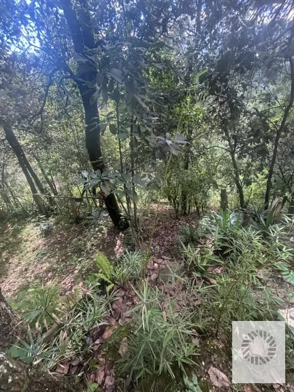 Vendo Cabaña Bosques de Tecpan — Casa en Venta en Tecpán, Chimaltenango — foto 13 de 13