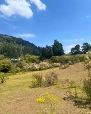 Terreno en Venta en San José Pinula — Terreno en Venta en San José Pinula, Guatemala, Ciudad — miniatura 6 de 7