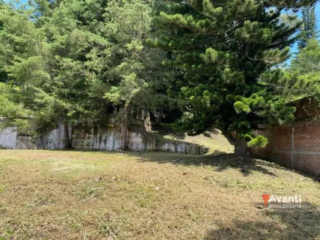Venta Terreno Carretera a el Salvador, KM.9 — Terreno en Venta en Carretera a El Salvador, Guatemala, Ciudad — foto 4 de 9
