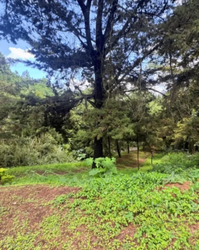 Terreno en Venta ZONA16 en el Pulte Ecuestre — Terreno en Venta en El Pulté Ecuestre, Zona 16, Guatemala, Ciudad — foto 8 de 11