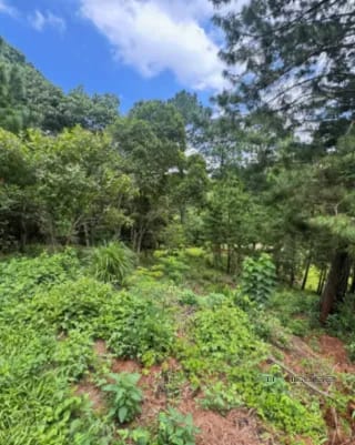 Terreno en Venta en el Pulte Ecuestre ZONA16 — Terreno en Venta en Zona 16, Guatemala, Ciudad — miniatura 10 de 11