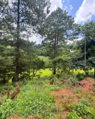 Terreno en Venta en el Pulte Ecuestre ZONA16 — Terreno en Venta en Zona 16, Guatemala, Ciudad — miniatura 11 de 11