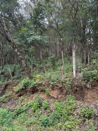Terreno en Venta - Tronco 10 El Encinal, zona 7 Mixco — Terreno en Venta en El Encinal, Zona 7 Mixco, Guatemala, Ciudad — miniatura 6 de 6