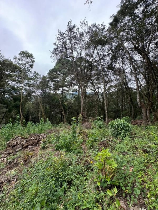 Terreno en Venta - Tronco 10 El Encinal, zona 7 Mixco — Terreno en Venta en El Encinal, Zona 7 Mixco, Guatemala, Ciudad — foto 5 de 6