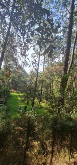 Terreno en Venta - Praderas de Bambú, San Raymundo — Terreno en Venta en San Raimundo, Guatemala, Ciudad — miniatura 9 de 11
