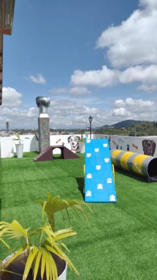 Apartamentos en venta Zentia - zona 2 de Mixco — Apartamento en Venta en Torre Zentia, Zona 2 Mixco, Guatemala, Ciudad — miniatura 2 de 14