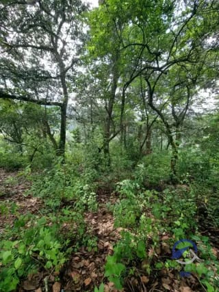 Terreno en Venta en Finca Los Manzanales, Santiago Sacatepéquez, Sacatepéquez — Terreno en Venta en Santiago Sacatepéquez, Sacatepéquez — miniatura 5 de 7