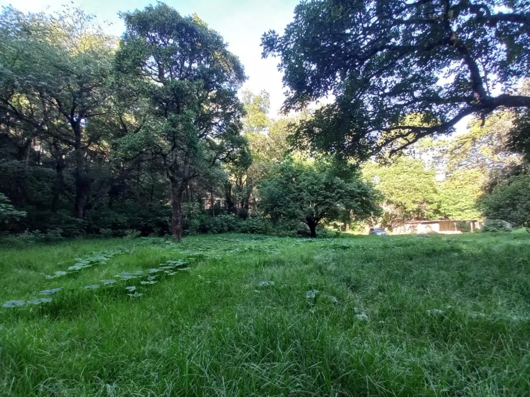 Terreno en venta en San Lucas Sacatepéquez, en Km 25 a 100 metros de ruta principal. Ideal para proyecto ecológico. — Terreno en Venta en San Lucas Sacatepéquez, Sacatepéquez — foto 1 de 7