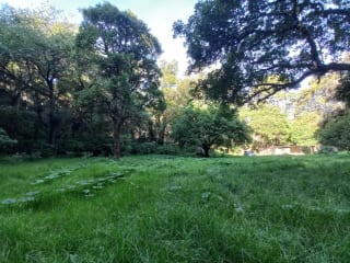 Terreno en venta en San Lucas Sacatepéquez, en Km 25 a 100 metros de ruta principal. Ideal para proyecto ecológico. — Terreno en Venta en San Lucas Sacatepéquez, Sacatepéquez — miniatura 1 de 7