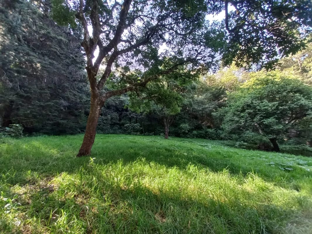 Terreno en venta en San Lucas Sacatepéquez, en Km 25 a 100 metros de ruta principal. Ideal para proyecto ecológico. — Terreno en Venta en San Lucas Sacatepéquez, Sacatepéquez — foto 7 de 7