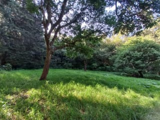 Terreno en venta en San Lucas Sacatepéquez, en Km 25 a 100 metros de ruta principal. Ideal para proyecto ecológico. — Terreno en Venta en San Lucas Sacatepéquez, Sacatepéquez — miniatura 7 de 7