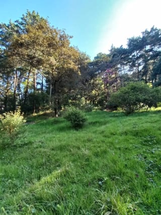 Terreno en venta en San Lucas Sacatepéquez, en Km 25 a 100 metros de ruta principal. Ideal para proyecto ecológico. — Terreno en Venta en San Lucas Sacatepéquez, Sacatepéquez — miniatura 6 de 7