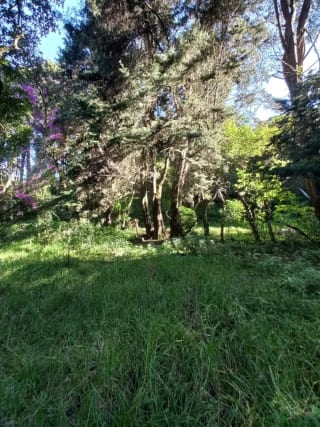 Terreno en venta en San Lucas Sacatepéquez, en Km 25 a 100 metros de ruta principal. Ideal para proyecto ecológico. — Terreno en Venta en San Lucas Sacatepéquez, Sacatepéquez — miniatura 5 de 7