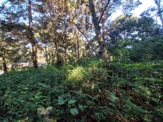Terreno en venta en San Lucas Sacatepéquez, en Km 25 a 100 metros de ruta principal. Ideal para proyecto ecológico. — Terreno en Venta en San Lucas Sacatepéquez, Sacatepéquez — miniatura 4 de 7