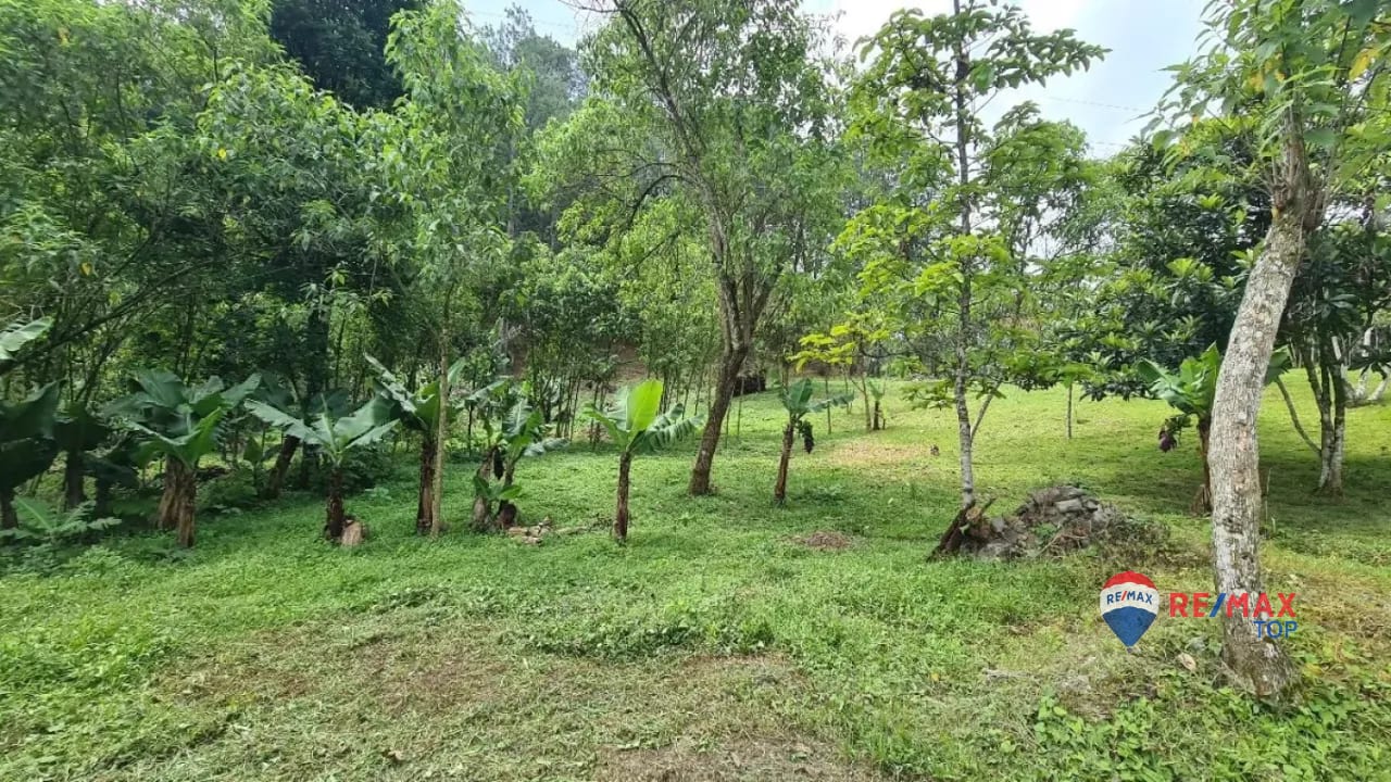 Terreno Comercial de 1 Manzana Entrada de Cobán, Alta Verapaz — Terreno en Venta en Cobán, Alta Verapaz — foto 4 de 4