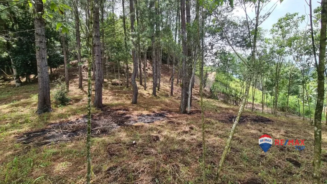Terreno Comercial de 1 Manzana Entrada de Cobán, Alta Verapaz — Terreno en Venta en Cobán, Alta Verapaz — foto 3 de 4