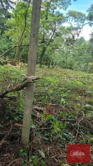 Terreno en Venta en Sta Rosalia — Terreno en Venta en Santa Rosalia La Laguna, Carretera a El Salvador, Guatemala, Ciudad — miniatura 3 de 3