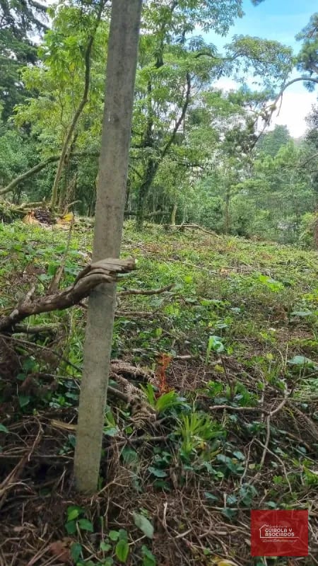 Terreno en Venta en Sta Rosalia — Terreno en Venta en Santa Rosalia La Laguna, Carretera a El Salvador, Guatemala, Ciudad — foto 3 de 3