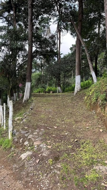 Terreno en VENTA Santa Lucia Milpas Altas con Excelentes Vistas — Terreno en Venta en Santa Lucía Milpas Altas, Sacatepéquez — foto 6 de 9