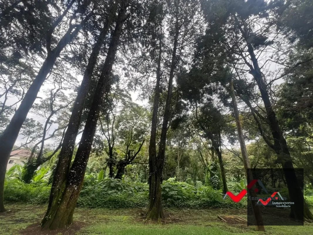 Terreno en venta Carretera a el Salvador km 22.5 Residencial Premier Campestre — Terreno en Venta en Premier Campestre, Carretera a El Salvador, Guatemala, Ciudad — foto 7 de 11