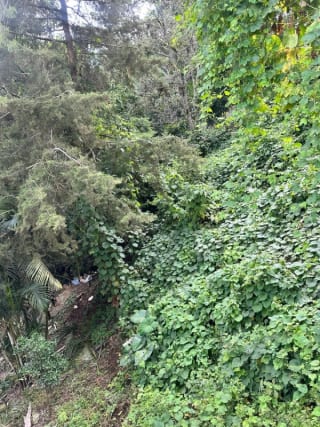 Terreno en venta La Montaña, zona 16 — Terreno en Venta en La Montaña, Zona 16, Guatemala, Ciudad — miniatura 3 de 6