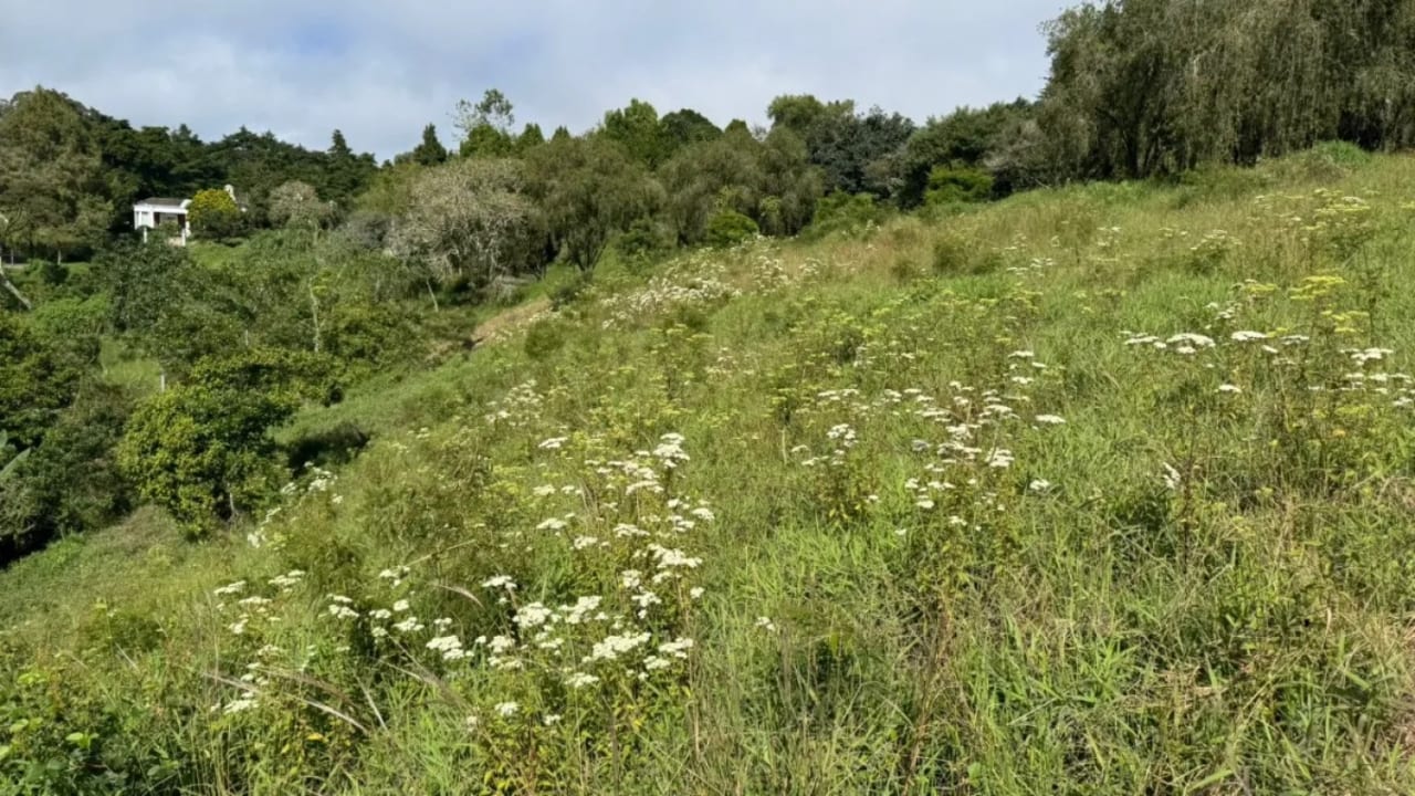 Terreno en Venta KM16.5 CAES — Terreno en Venta en Carretera a El Salvador, Guatemala, Ciudad — foto 3 de 3