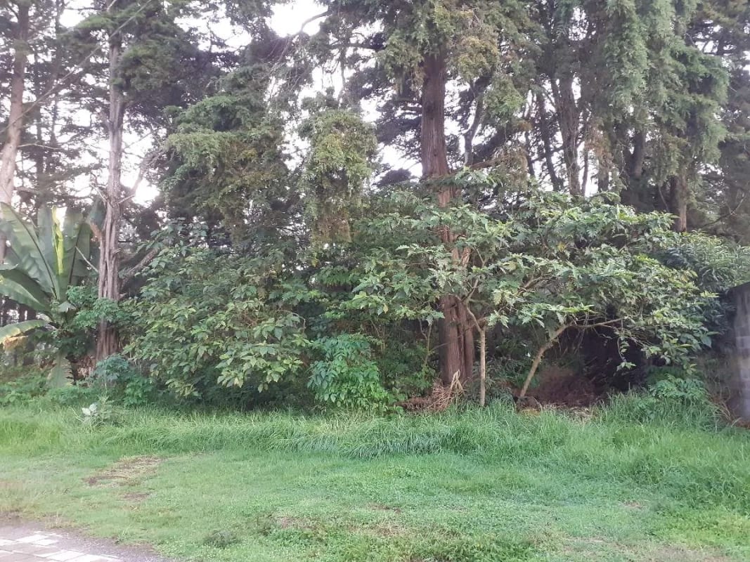 Lindo Terreno Kilometro 16 Carretera Salvador — Terreno en Venta en Carretera a El Salvador, Guatemala, Ciudad — foto 1 de 3
