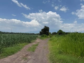 Terreno en Guanagazapa, Km 84 Escuintla — Terreno en Venta en Guanagazapa, Escuintla — miniatura 1 de 4