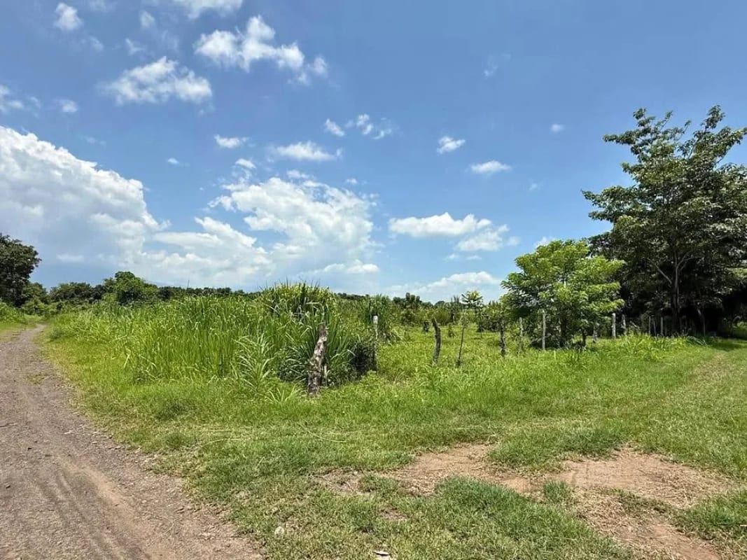 Terreno en Guanagazapa, Km 84 Escuintla — Terreno en Venta en Guanagazapa, Escuintla — foto 4 de 4