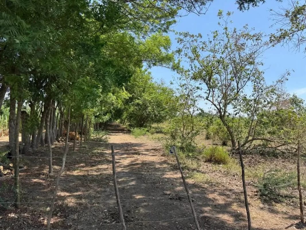 Terreno en Guanagazapa, Km 84 Escuintla — Terreno en Venta en Guanagazapa, Escuintla — foto 3 de 4