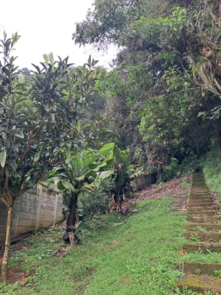 Terreno en venta San Lucas Sacatepequez — Terreno en Venta en Santiago Sacatepéquez, Sacatepéquez — miniatura 6 de 13