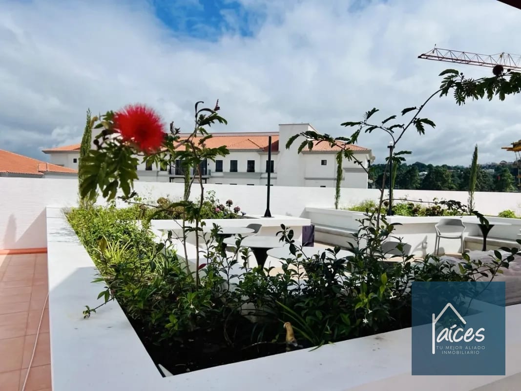 Apartamento Amueblado en Renta ANTARES DE CAYALA Zona 16 (D) — Apartamento en Alquiler en Antares de Cayalá, Zona 16, Guatemala, Ciudad — foto 12 de 17