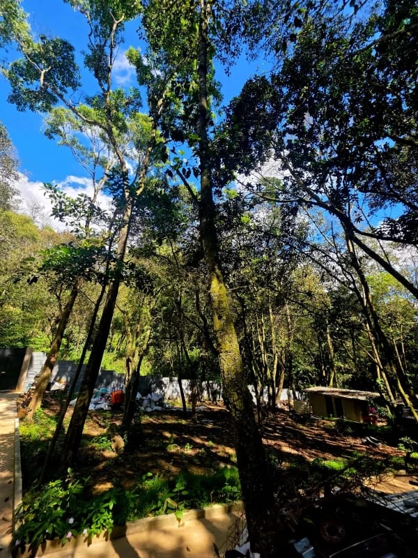 Terreno en Venta San Lucas Sacatepéquez — Terreno en Venta en San Lucas Sacatepéquez, Sacatepéquez — foto 1 de 6