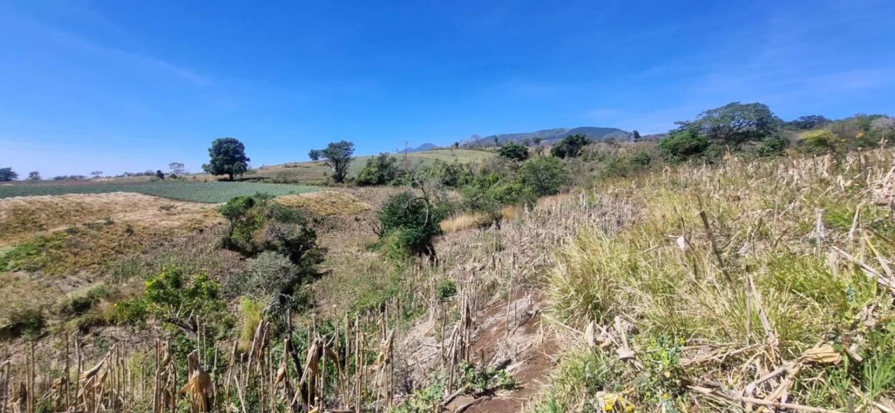 Terreno en Venta en el Jocotillo Calle Santa Rosita — Terreno en Venta en Santa Elena Barillas, Guatemala, Ciudad — foto 8 de 15