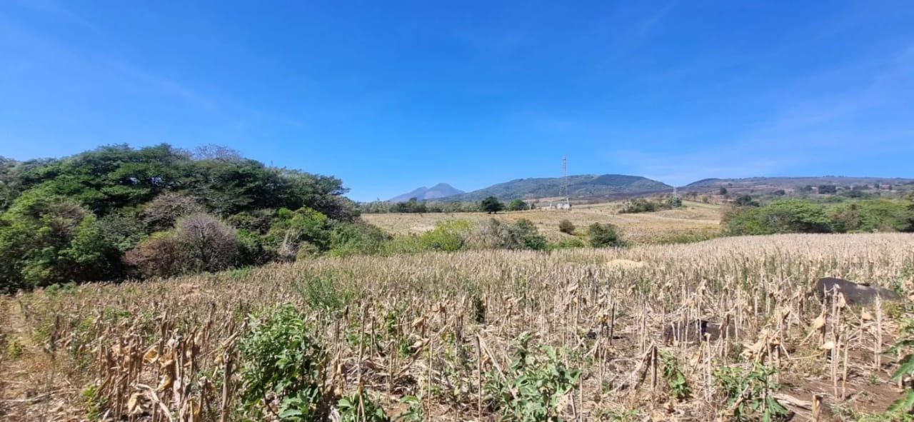 Terreno en Venta en el Jocotillo Calle Santa Rosita — Terreno en Venta en Santa Elena Barillas, Guatemala, Ciudad — foto 6 de 15