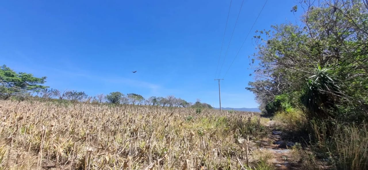 Terreno en Venta en el Jocotillo Santa Elena Barillas — Terreno en Venta en Santa Elena Barillas, Guatemala, Ciudad — foto 1 de 8