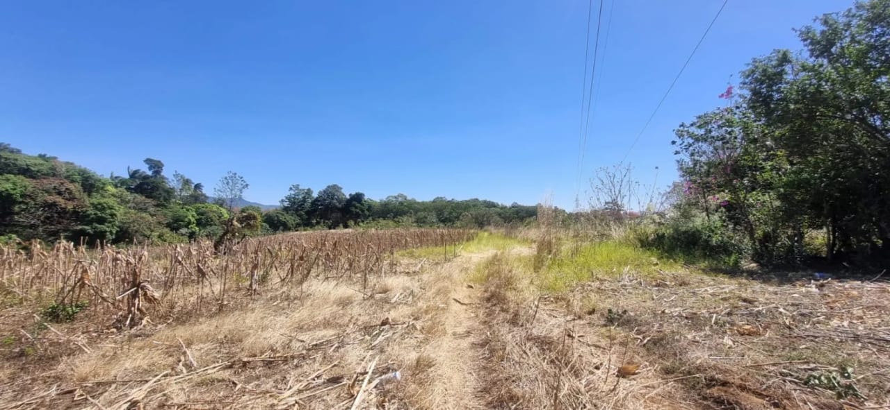 Terreno en Venta en el Jocotillo Santa Elena Barillas — Terreno en Venta en Santa Elena Barillas, Guatemala, Ciudad — foto 4 de 8
