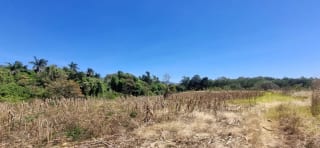 Terreno en Venta en el Jocotillo Santa Elena Barillas — Terreno en Venta en Santa Elena Barillas, Guatemala, Ciudad — miniatura 3 de 8