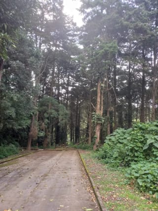 Terrenos en Casa y Campo, Km 23 Carretera a El Salvador — Terreno en Venta en Carretera a El Salvador, Guatemala, Ciudad — miniatura 1 de 5