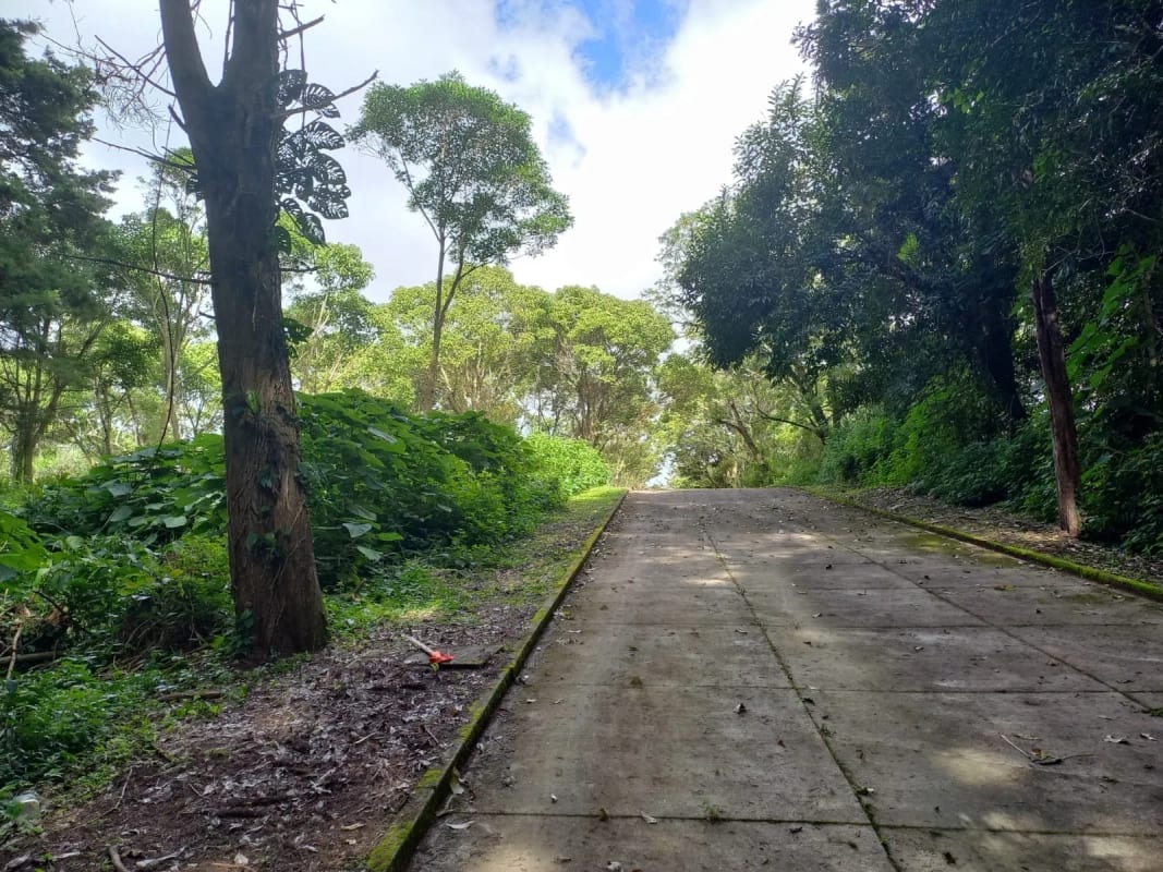 Terrenos en Casa y Campo, Km 23 Carretera a El Salvador — Terreno en Venta en Carretera a El Salvador, Guatemala, Ciudad — foto 4 de 5