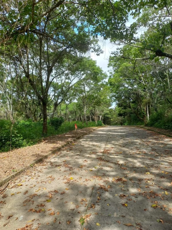 Terrenos en Casa y Campo, Km 23 Carretera a El Salvador — Terreno en Venta en Carretera a El Salvador, Guatemala, Ciudad — foto 3 de 5