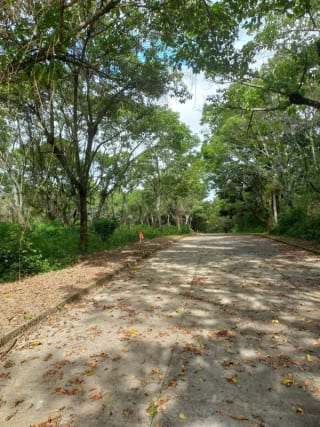 Terrenos en Casa y Campo, Km 23 Carretera a El Salvador — Terreno en Venta en Carretera a El Salvador, Guatemala, Ciudad — miniatura 3 de 5
