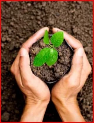 Se Vende Finca Forestal Certificada en Escuintla – Guatemala — Finca en Venta en Guanagazapa, Escuintla — miniatura 11 de 12