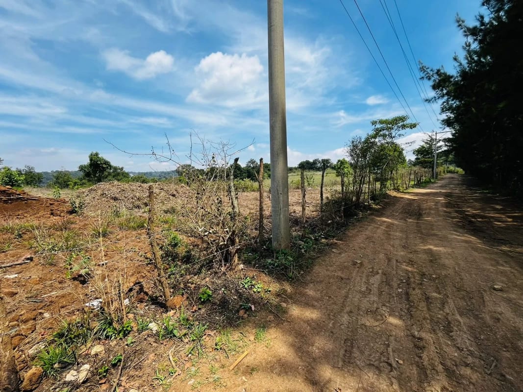 Alquilo Terreno en Lo de Diéguez 10,000 Varas Semi Planas — Terreno en Alquiler en Carretera a El Salvador, Guatemala, Ciudad — foto 3 de 5